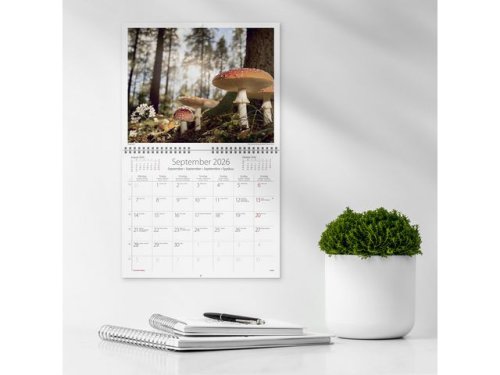 Vggkalender Vr vackra skog 2026