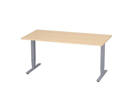 Bord hj/snk Pro 1600x800 bjrk/silver