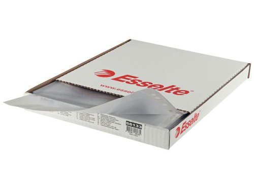 Plastficka A4 ESSELTE ppen 2-sidor 0,11mm 100st/fp