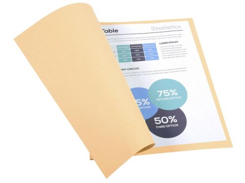 Mapp EXACOMPTA utan klaff A4 beige