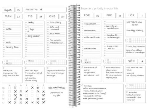 Kalender Balance Log odaterad - 1049