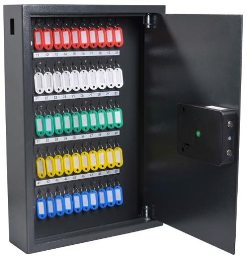 Nyckelskp PAVO Security 50 nycklar gr