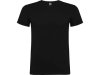 T-shirt PF beagle herr svart 2XL