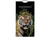 Vggkalender Wild animals 2026
