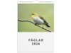 Vggkalender 2026 Fglar