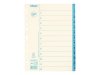 Pappregister JOPA A4 1-12 vit/bl